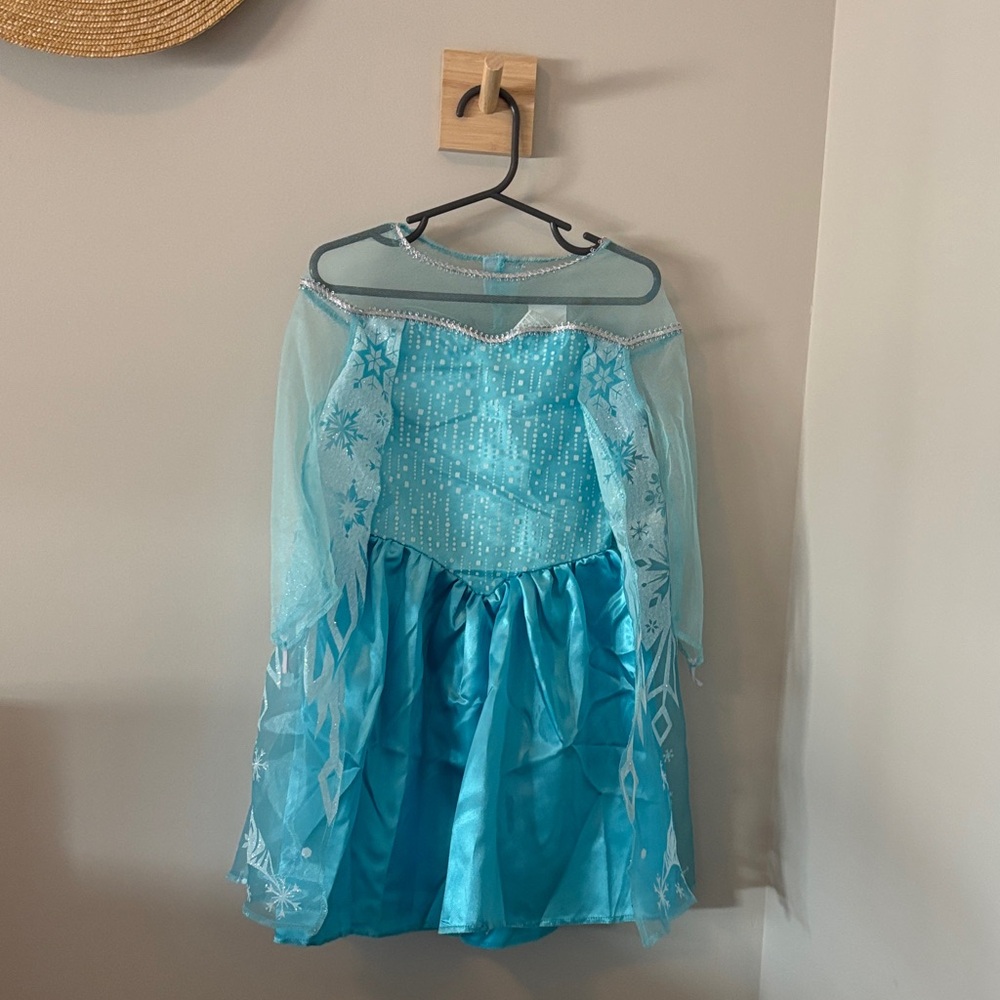 FROZEN costume dress